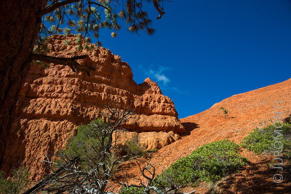 Red Rock Canyon