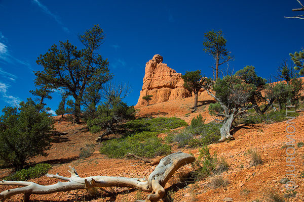 Red Rock Canyon