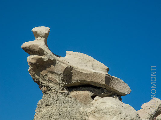 der Froschkönig