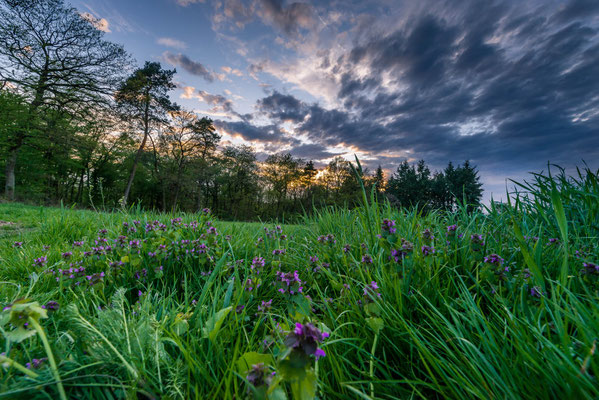 Abendstimmung in Bonbaden