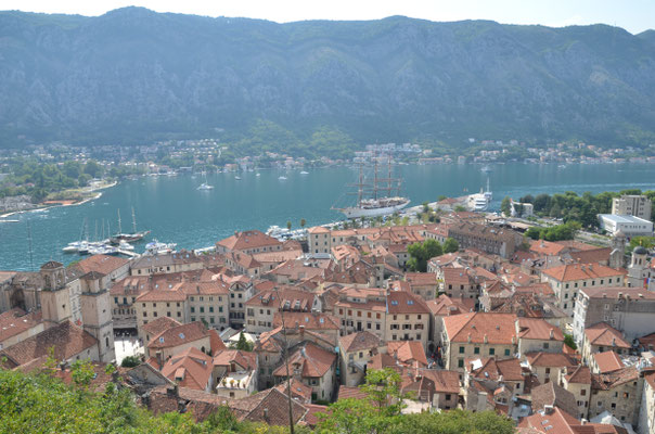 Kotor