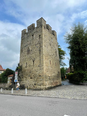 Vereinsausflug 2025 Sempach und Schweizer Paraplegiker-Zentrum Nottwil