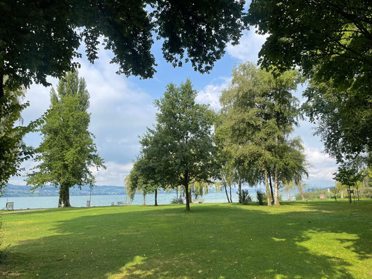 Vereinsausflug 2025 Sempach und Schweizer Paraplegiker-Zentrum Nottwil