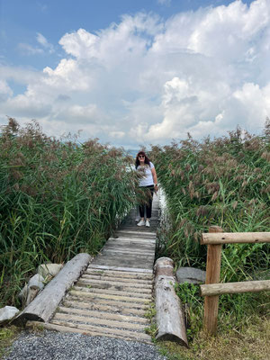 Vereinsausflug 2025 Sempach und Schweizer Paraplegiker-Zentrum Nottwil