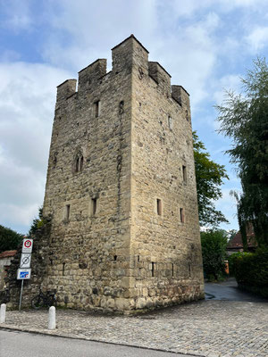 Vereinsausflug 2025 Sempach und Schweizer Paraplegiker-Zentrum Nottwil