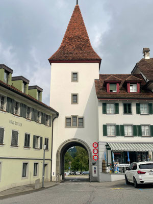 Vereinsausflug 2025 Sempach und Schweizer Paraplegiker-Zentrum Nottwil