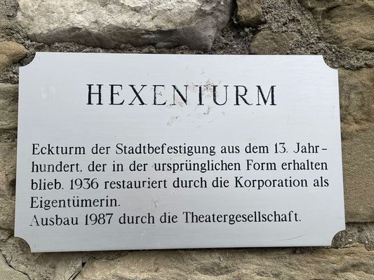 Vereinsausflug 2025 Sempach und Schweizer Paraplegiker-Zentrum Nottwil