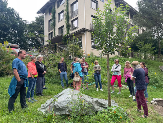 Botanischer Abendspaziergang 2024