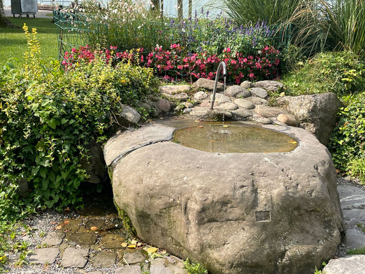 Vereinsausflug 2025 Sempach und Schweizer Paraplegiker-Zentrum Nottwil