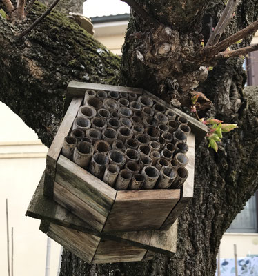 Casetta degli insetti utili posta ai margini dell'orto - molto utile per la lotta biologica
