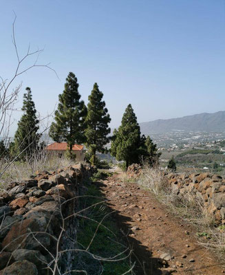 El Paso La Palma Petroglyphen Fajana Ausblick