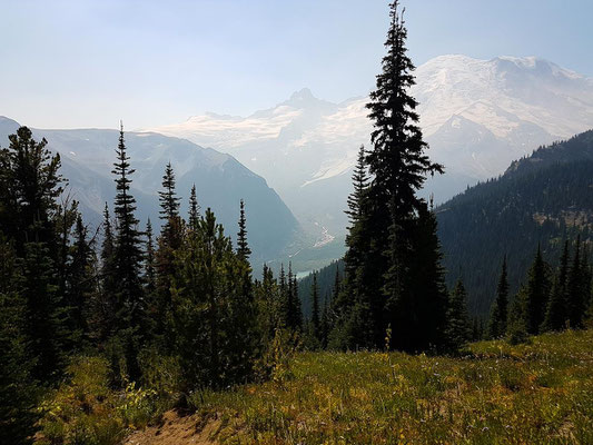 USA Roadtrip Washington Mount Rainier Sunrise Visitorcenter