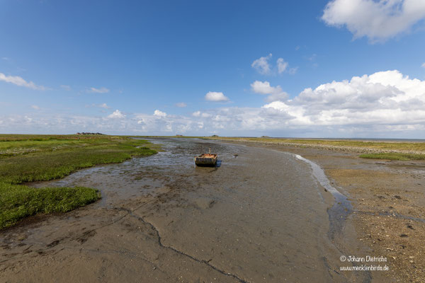 trockengefallener Seglerhafen