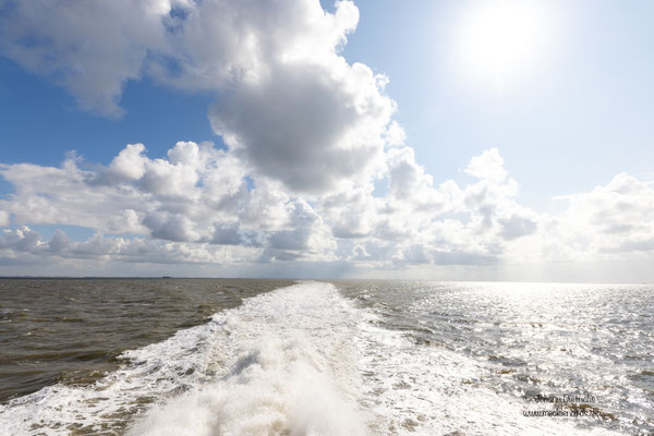 Während der Hinfahrt