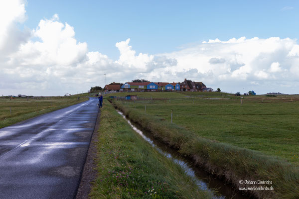 Blick auf die Backenswarft