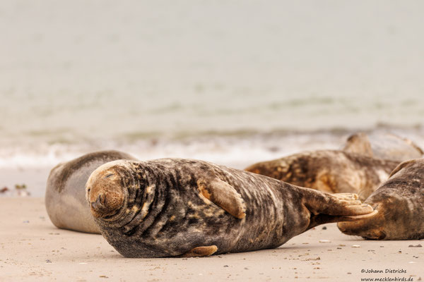 entspanntes Strandleben