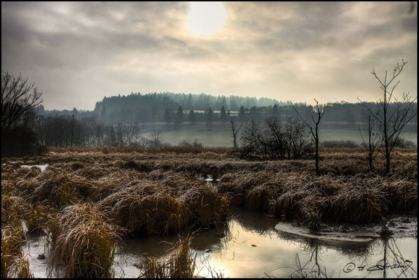 55 Deusmaurer Moor