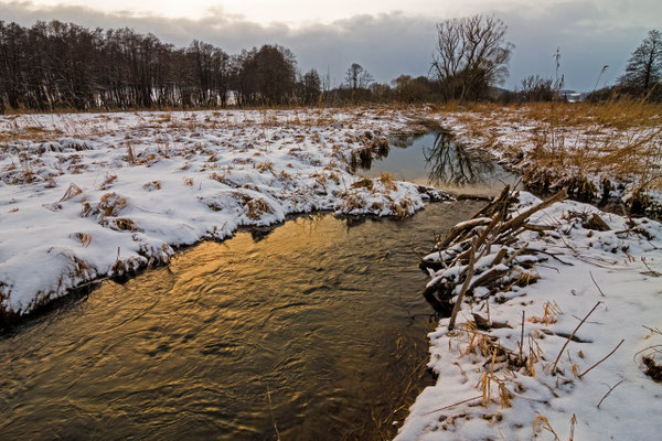 34 Deusmaurer Moor
