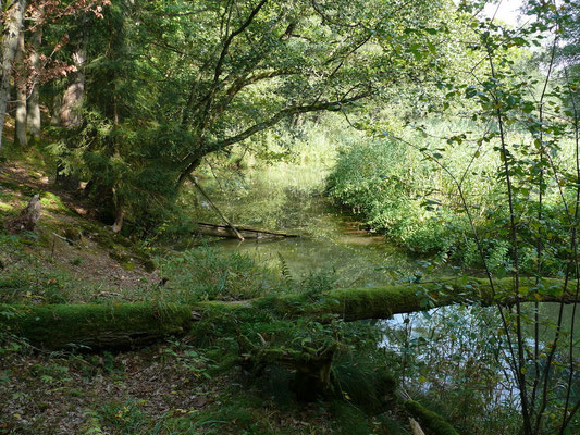 21 Deusmaurer Moor