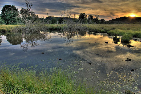 31 Deusmaurer Moor