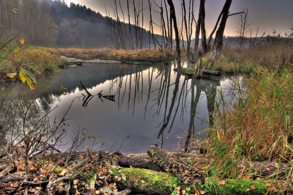 42 Deusmaurer Moor