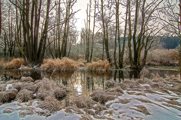 33 Deusmaurer Moor