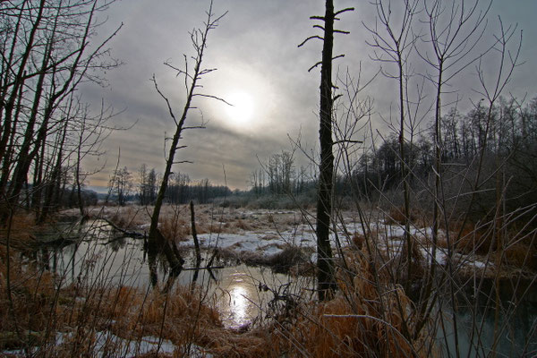 37 Deusmaurer Moor