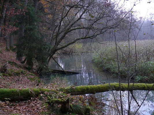 22 Deusmaurer Moor