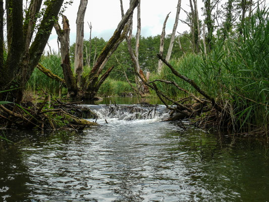 48 Deusmaurer Moor