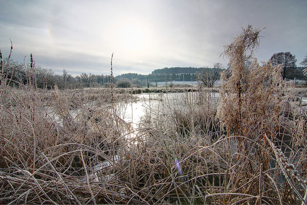 30 Deusmaurer Moor