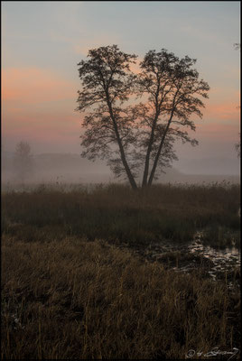 60 Deusmaurer Moor
