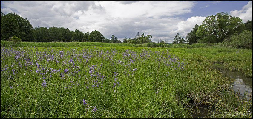 67 Deusmaurer Moor