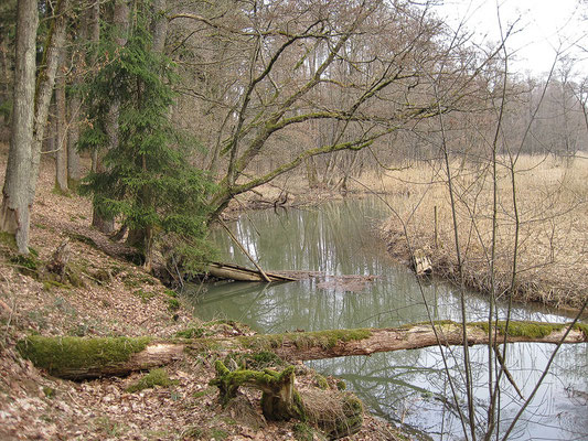 20 Deusmaurer Moor