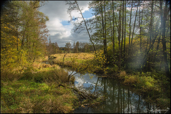 71 Deusmaurer Moor