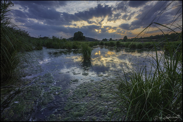 49 Deusmaurer Moor