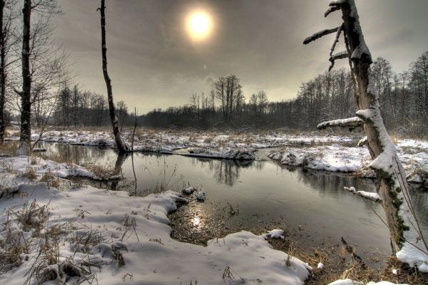 44 Deusmaurer Moor