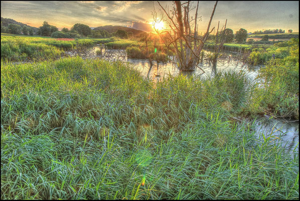 61 Deusmaurer Moor