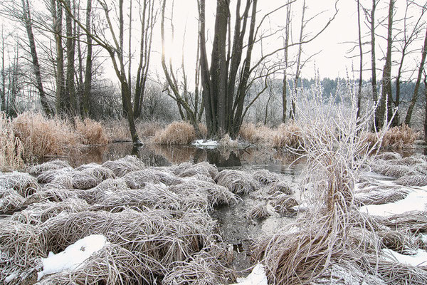 27 Deusmaurer Moor