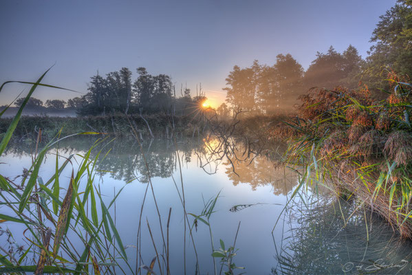 Sonnenaufgang im Deusmauer Moor 1
