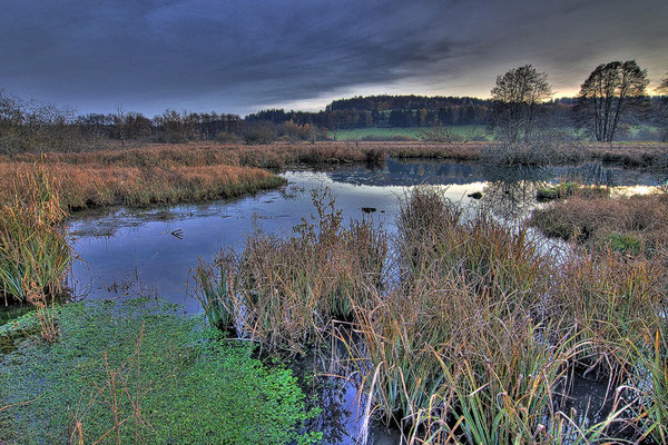 16 Deumauer Moor