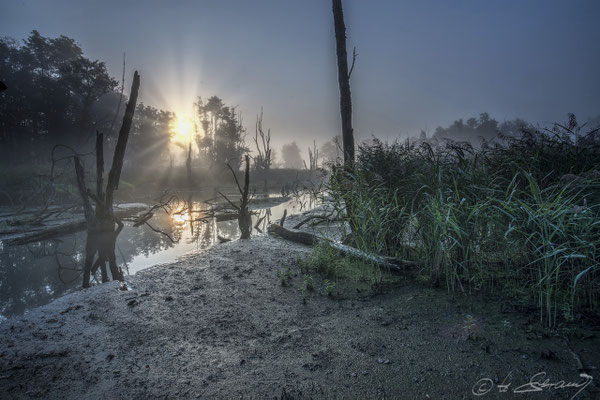 Sonnenaufgang im Deusmauer Moor