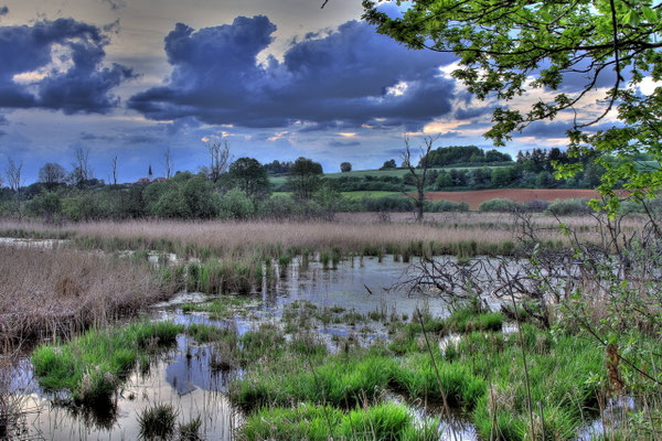 46 Deusmaurer Moor