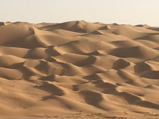 schöne Wüste