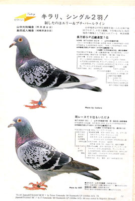 エリー号資料雑誌掲載 - 山中の趣味 抹茶碗 ボウリング レース鳩