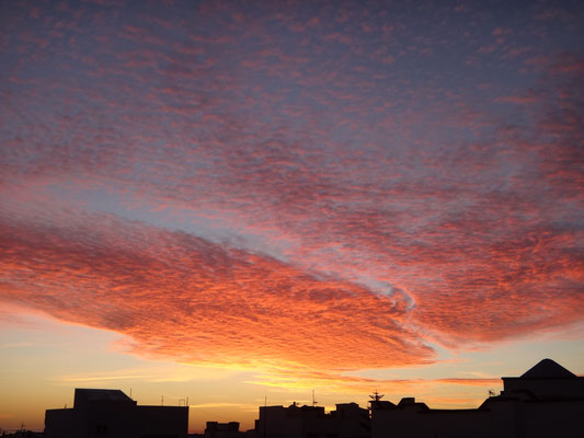 Morgenstimmung - Blick aus dem Wohnzimmer