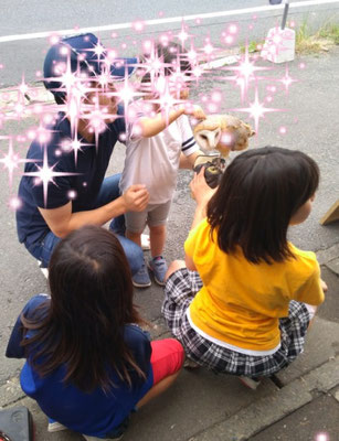 鷹匠体験 エキゾチックアニマル 鷹の庵