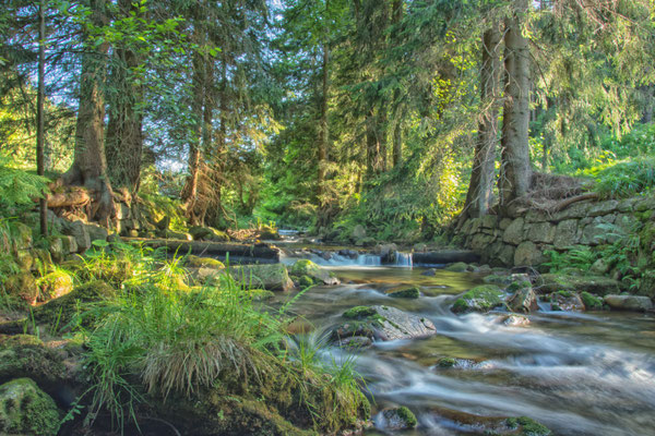 große Bockau im Erzgebirge 2019