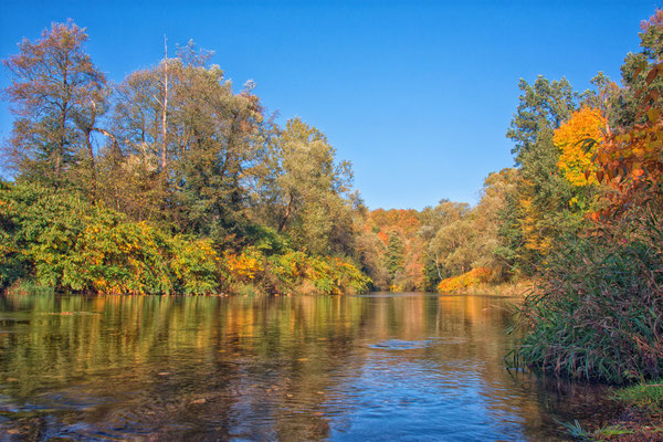 17.10.2018 an der Mulde
