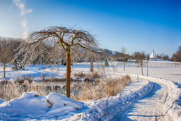 Kurpark Bad Schlema 