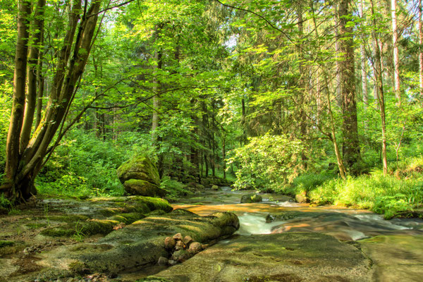 große Bockau im Erzgebirge 2019